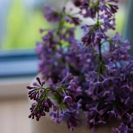 2homerent Grottgera 4 Skyline View