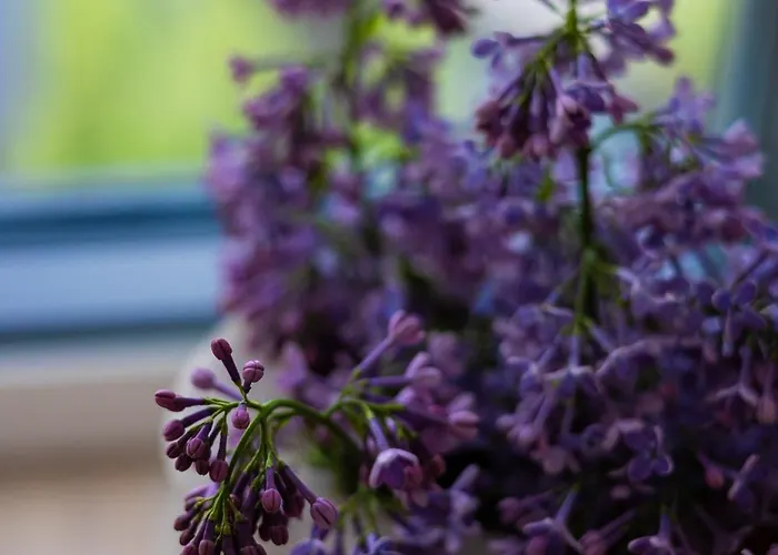 2homerent Grottgera 4 Skyline View